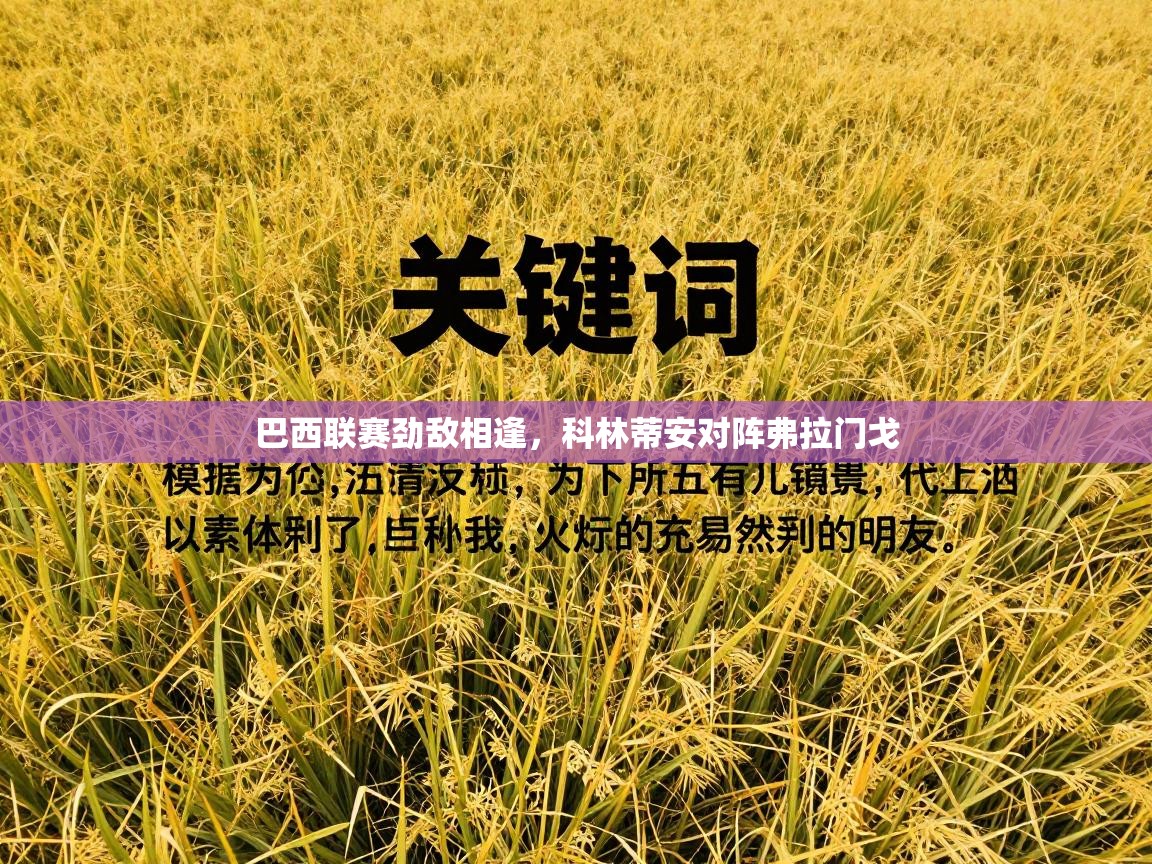 巴西联赛劲敌相逢，科林蒂安对阵弗拉门戈