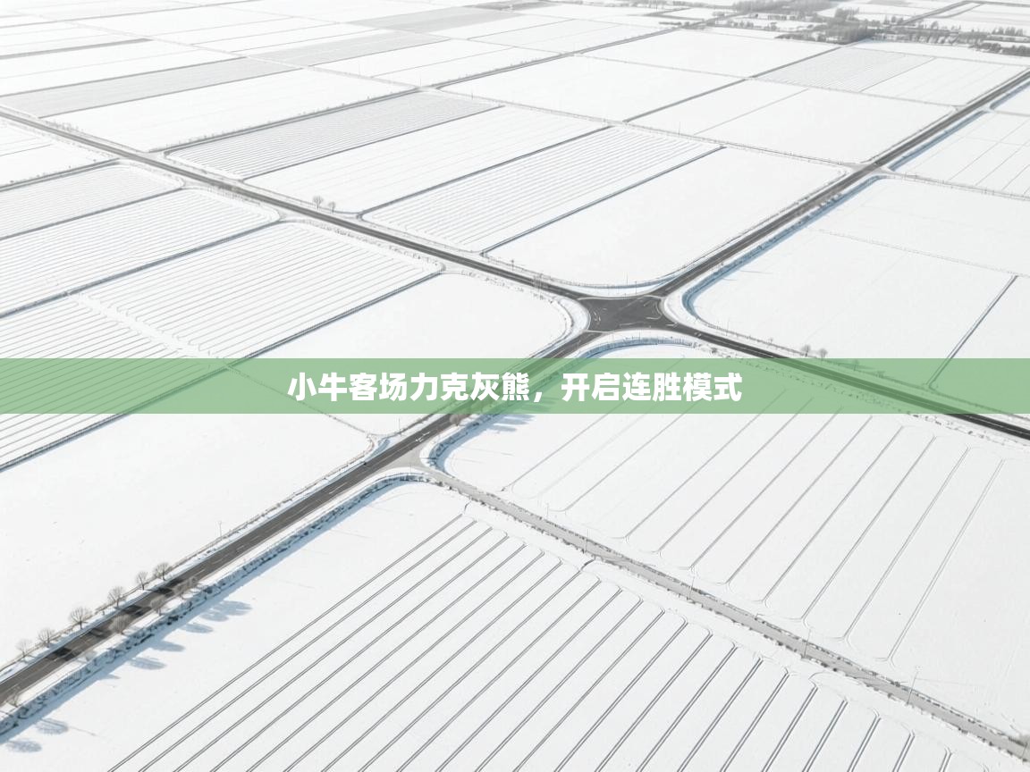 小牛客场力克灰熊，开启连胜模式