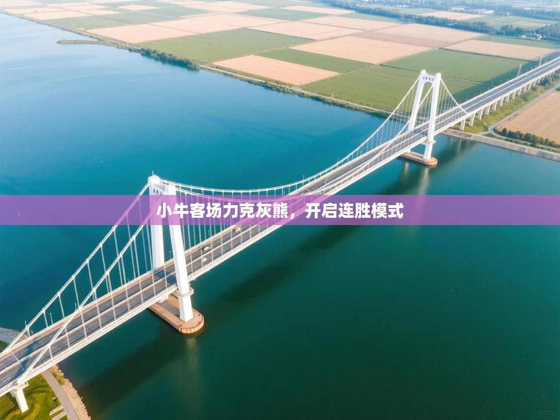 小牛客场力克灰熊，开启连胜模式  第2张